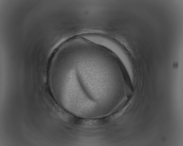 X0000092271165200710051333