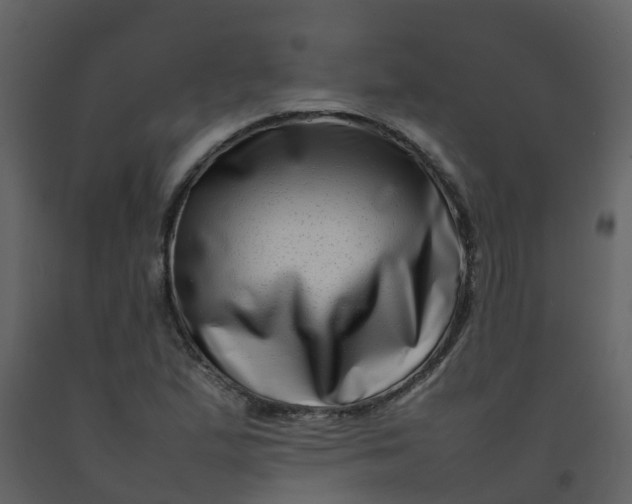 X0000092271167200710051333