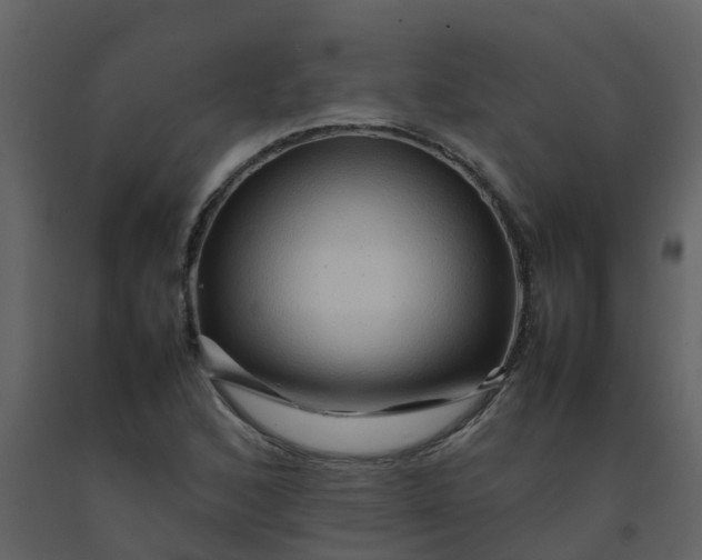 X0000092271168200710051333