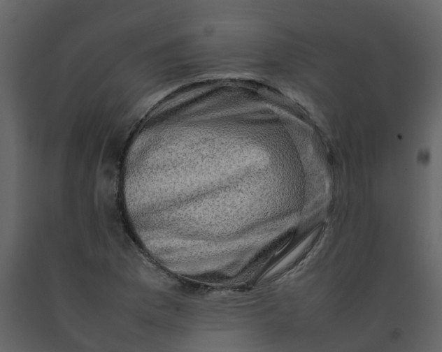 X0000092271169200710051333