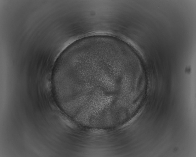 X0000092271170200710051333