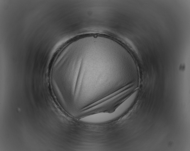 X0000092271172200710051333