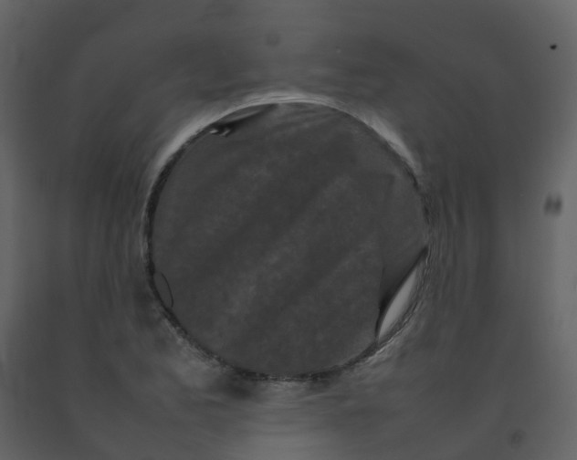 X0000092271173200710051333