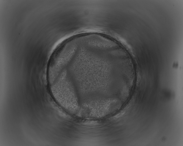 X0000092271174200710051333