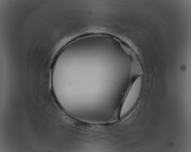 X0000092271175200710051333