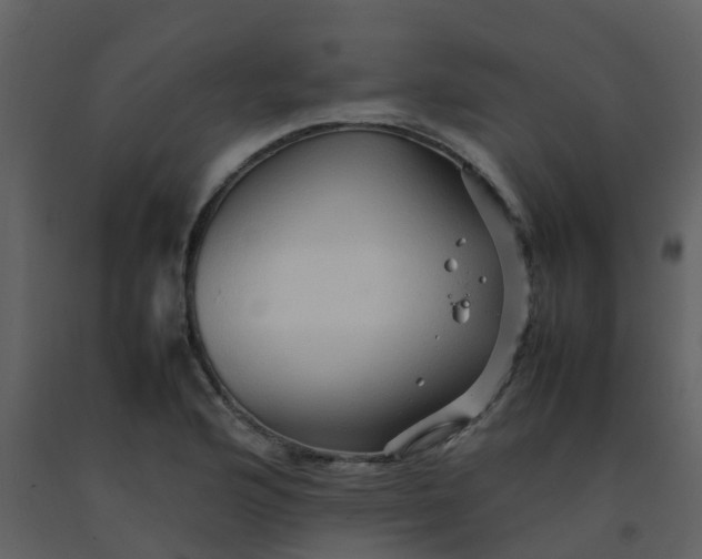 X0000092271176200710051333