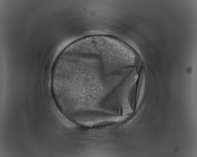 X0000092271179200710051333