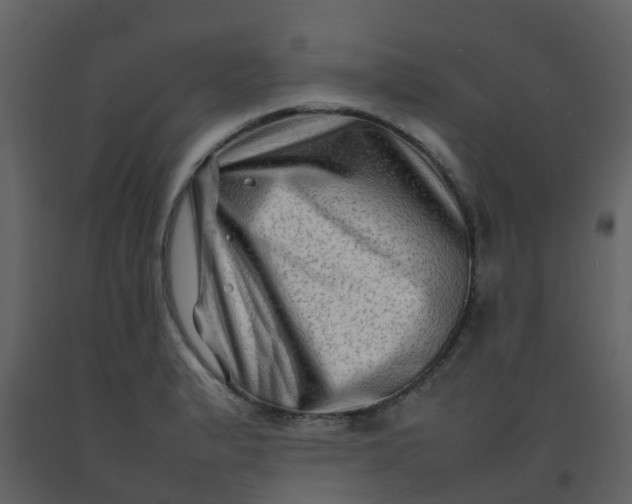 X0000092271183200710051333