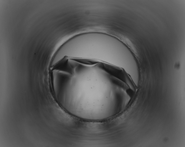 X0000092271184200710051333