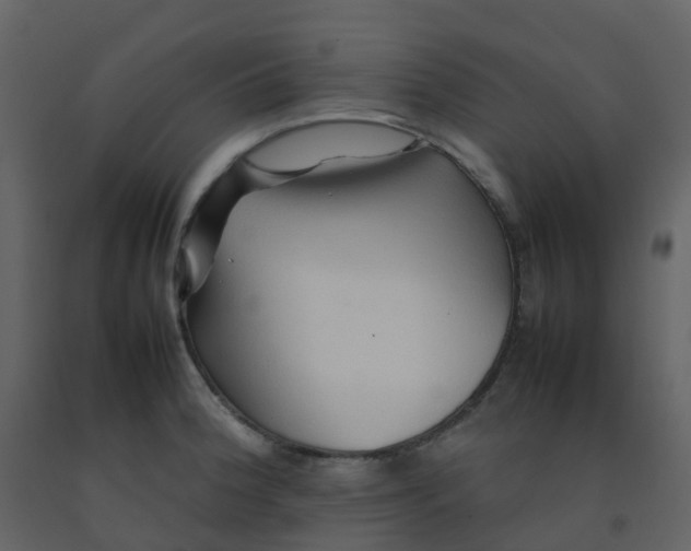 X0000092271188200710051333