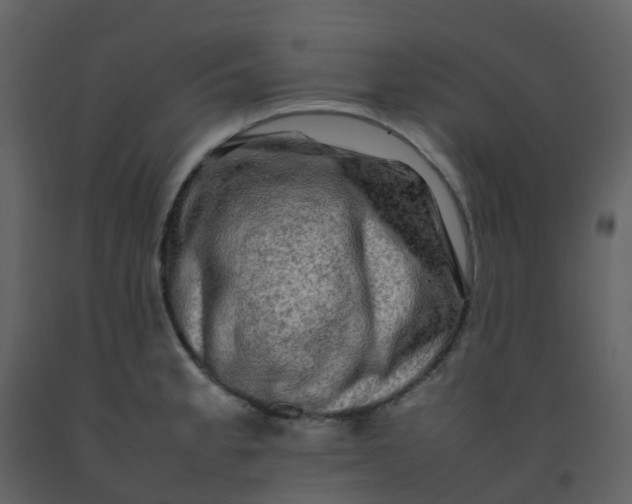 X0000092271189200710051333