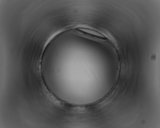 X0000092271190200710051333