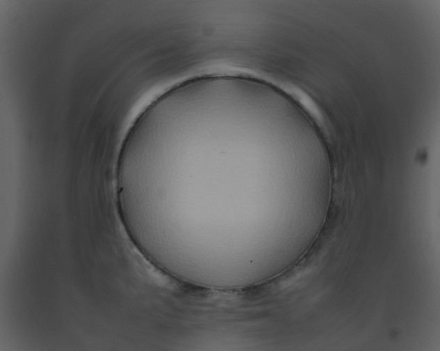 X0000092271191200710051333