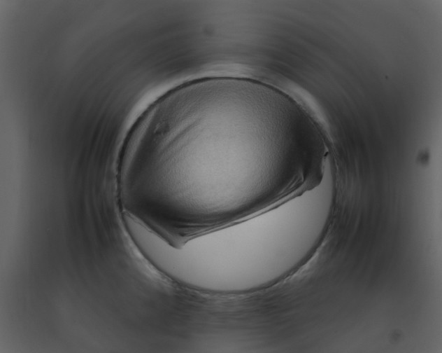 X0000092271192200710051333