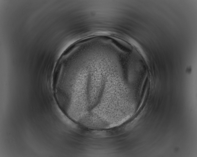 X0000092271194200710051333