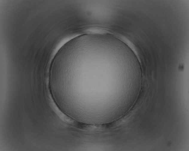 X0000092271195200710051333