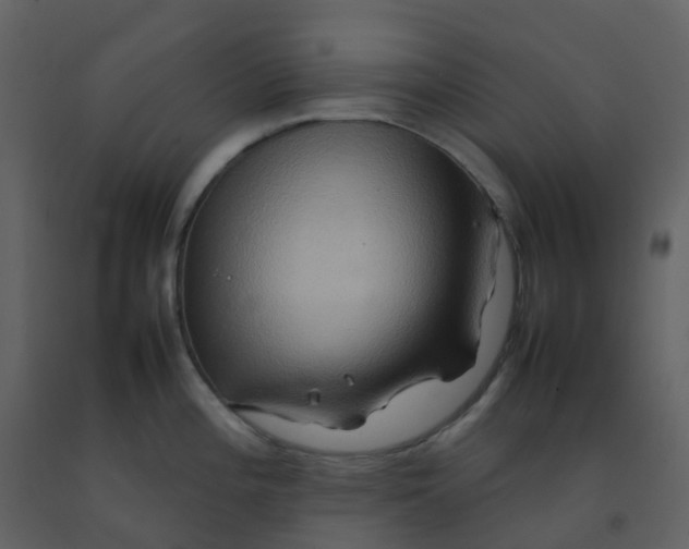 X0000092271196200710051333