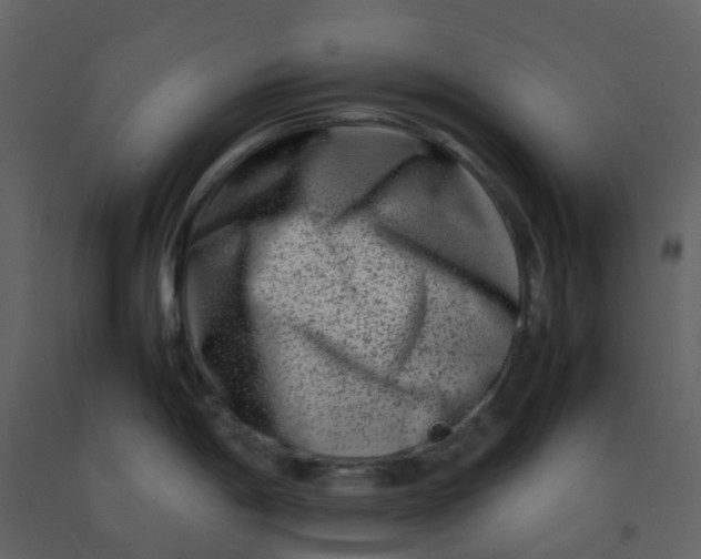 X0000092271198200710051333