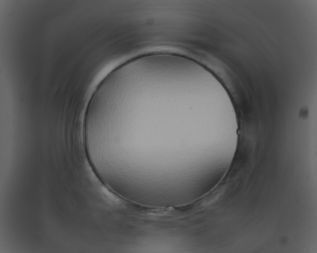 X0000092271199200710051333