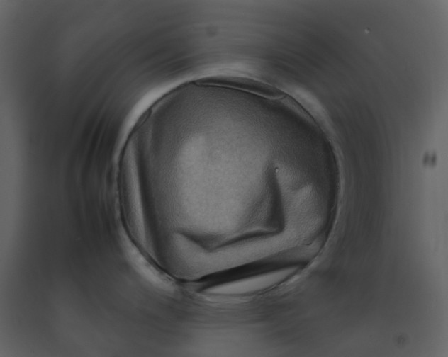 X0000092271200200710051333