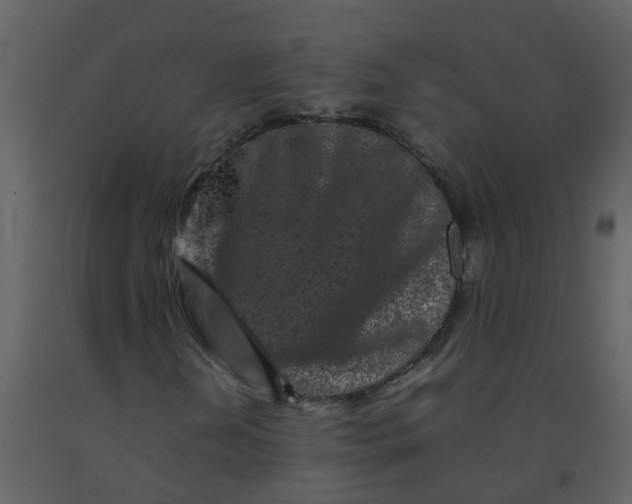 X0000092271202200710051332