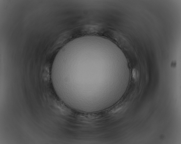 X0000092271203200710051332