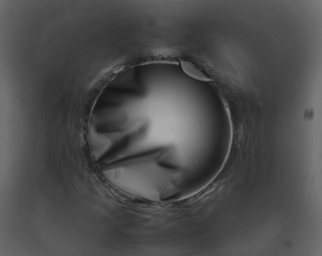 X0000092271205200710051332