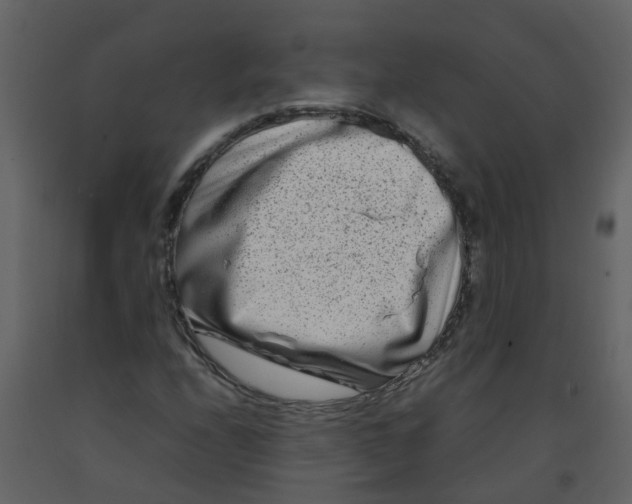 X0000092271208200710051332