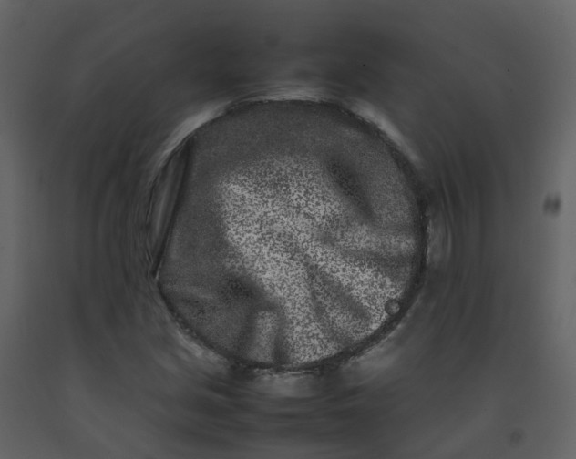 X0000092271213200710051332