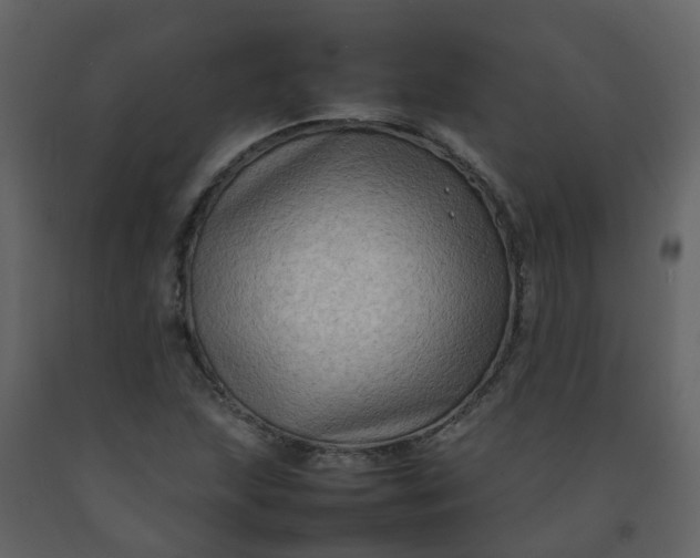 X0000092271215200710051332