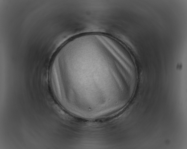 X0000092271220200710051332