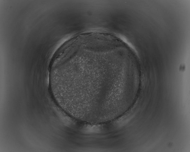 X0000092271221200710051332