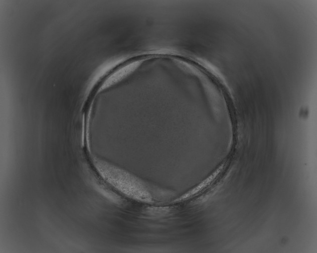 X0000092271223200710051332