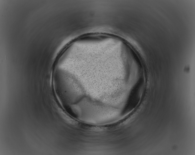 X0000092271224200710051332