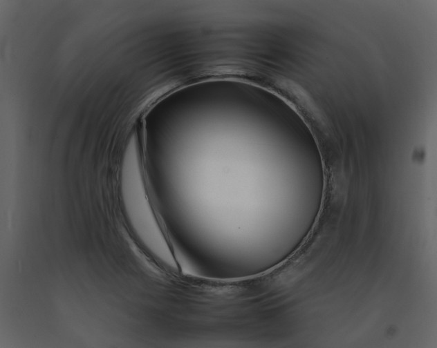 X0000092271225200710051332