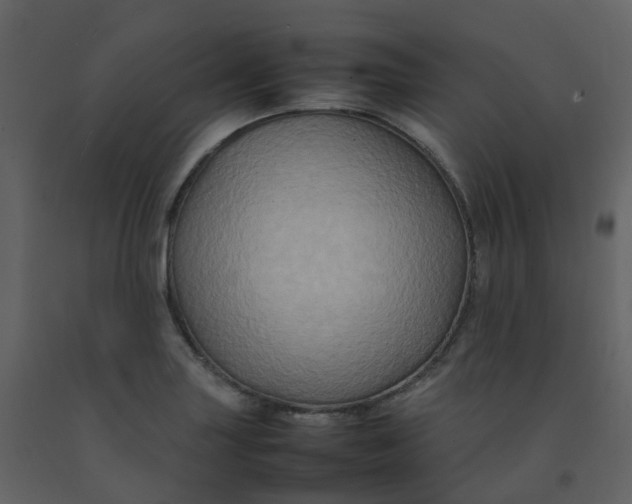 X0000092271227200710051332