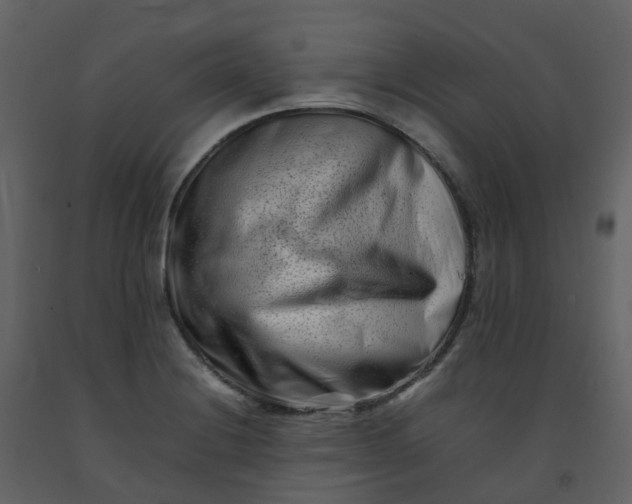 X0000092271228200710051332