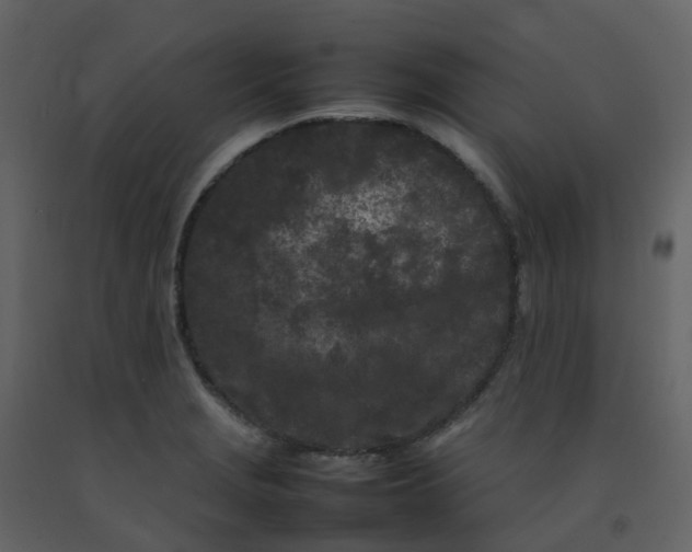 X0000092271229200710051332