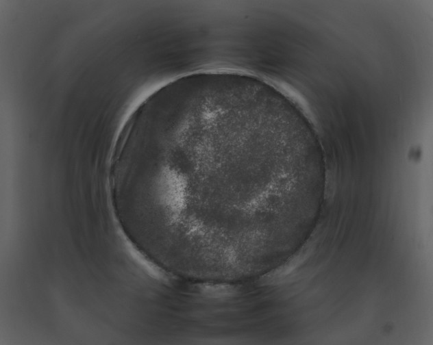 X0000092271231200710051333