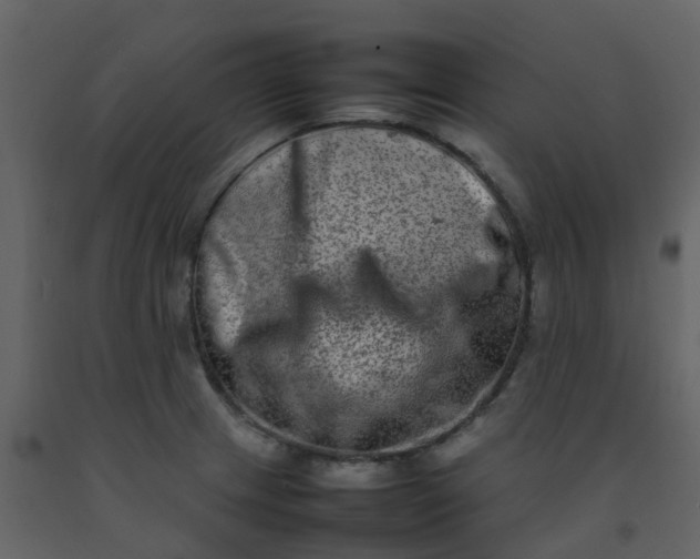 X0000092271233200710051333