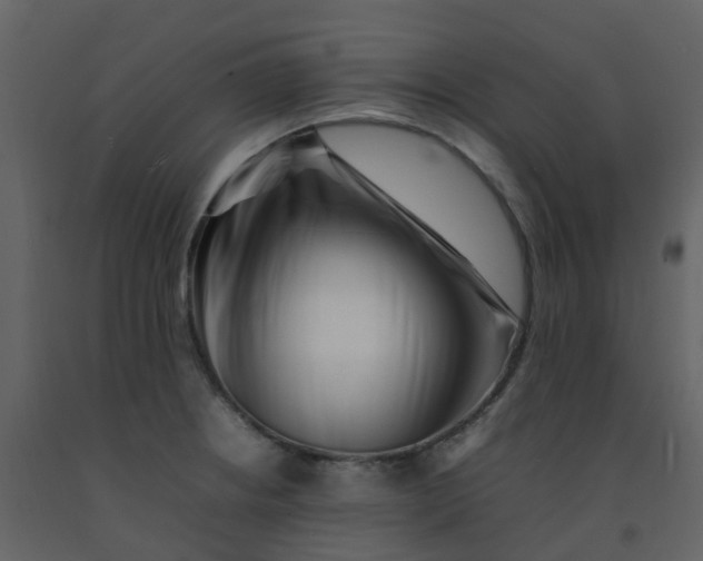 X0000092271234200710051333