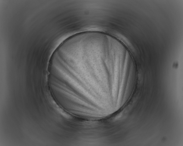 X0000092271236200710051333