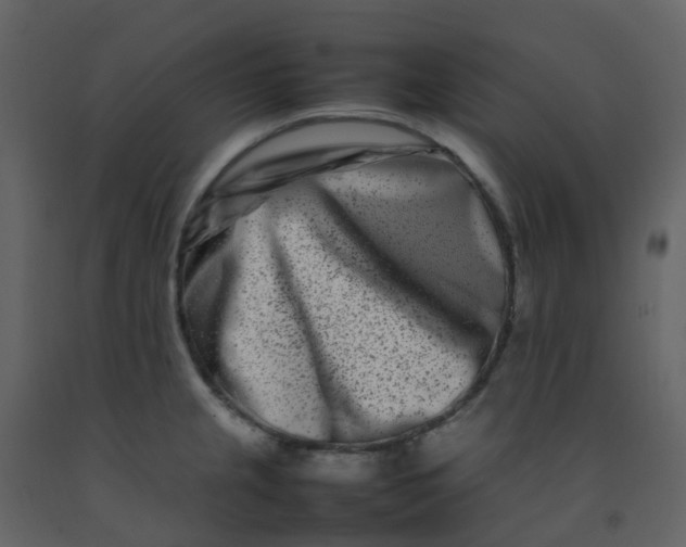 X0000092271237200710051333