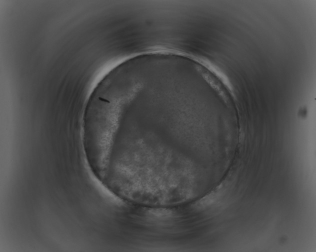 X0000092271239200710051333