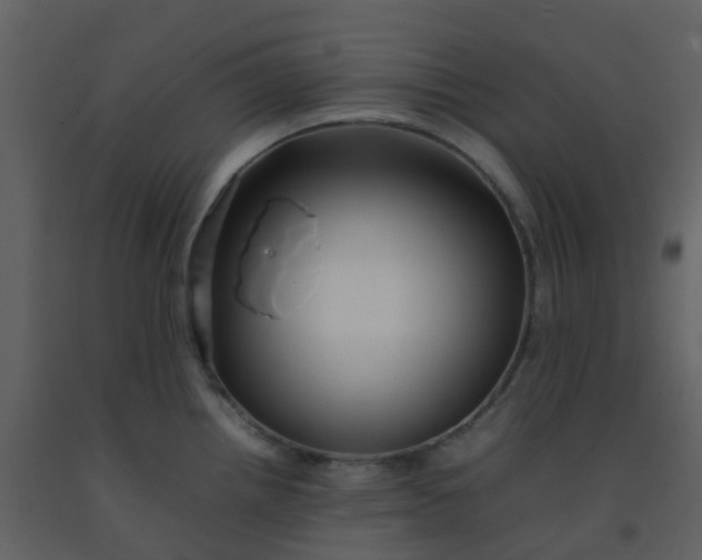 X0000092271242200710051333