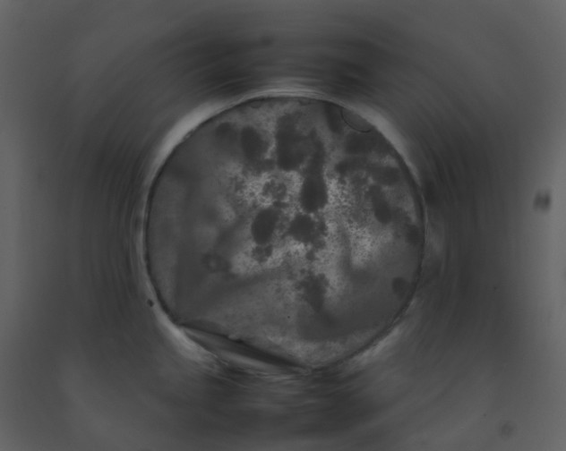 X0000092271245200710051333