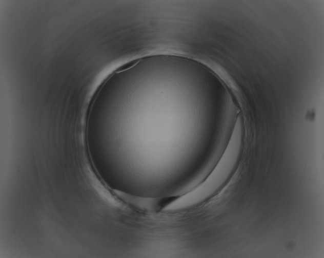 X0000092271246200710051333