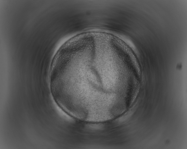 X0000092271247200710051333