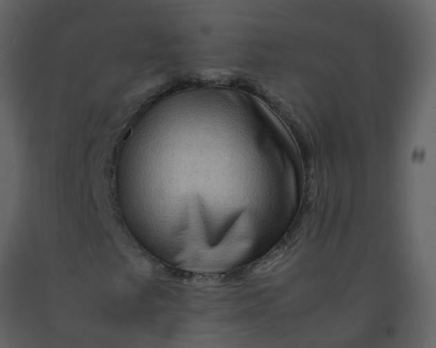 X0000092271249200710051332