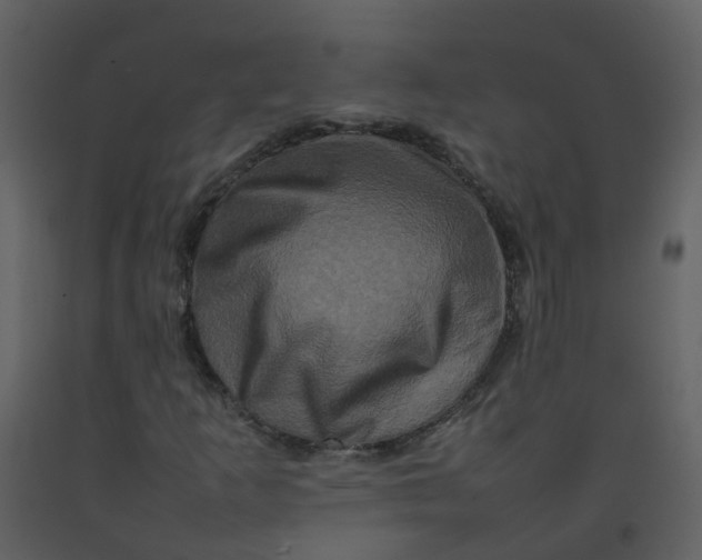 X0000092271253200710051332